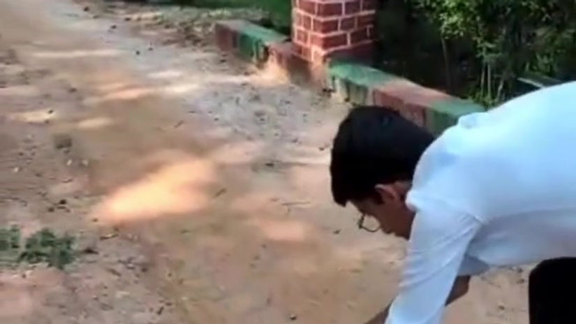 Wildlife Rescue India: Expectation v. Reality Reel